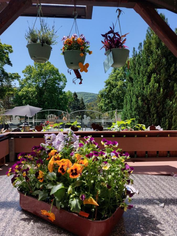 Hotel Zum Poppschen Gut Olbernhau Exterior foto